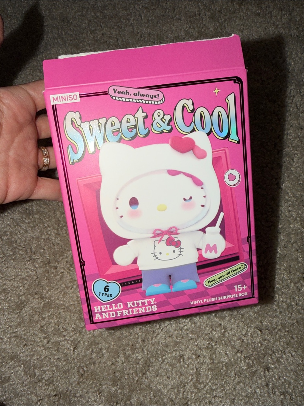 MINISO Sweet & Cool Hello Kitty Pink Vinyl Plush Box MY MELODY SEALED.
